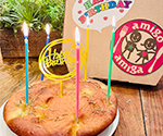 フォカッチャ